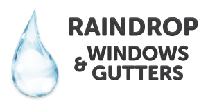 Raindrop Windows Logo